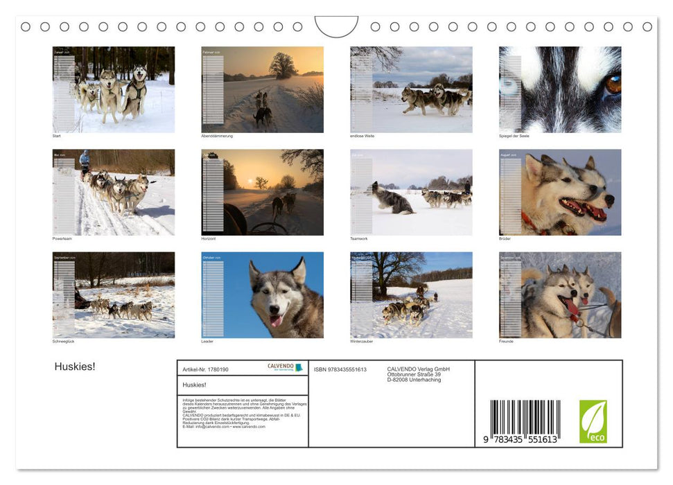 Huskies! (CALVENDO Wandkalender 2025)