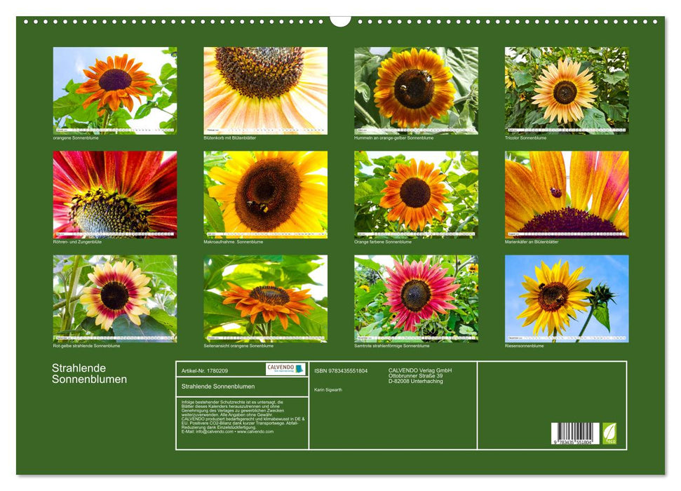 Strahlende Sonnenblumen (CALVENDO Wandkalender 2025)