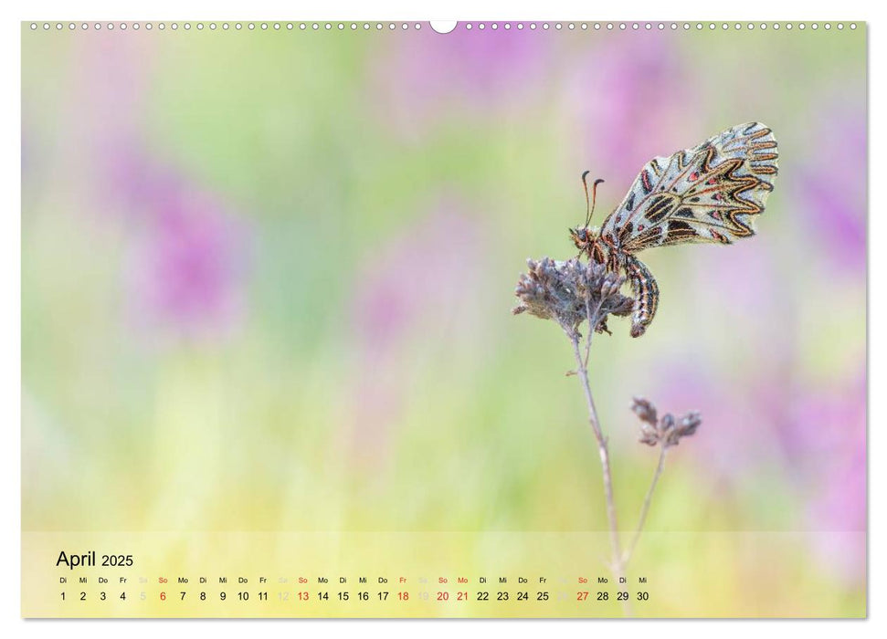 Naturfotografie (CALVENDO Premium Wandkalender 2025)