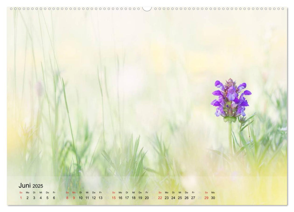 Naturfotografie (CALVENDO Premium Wandkalender 2025)