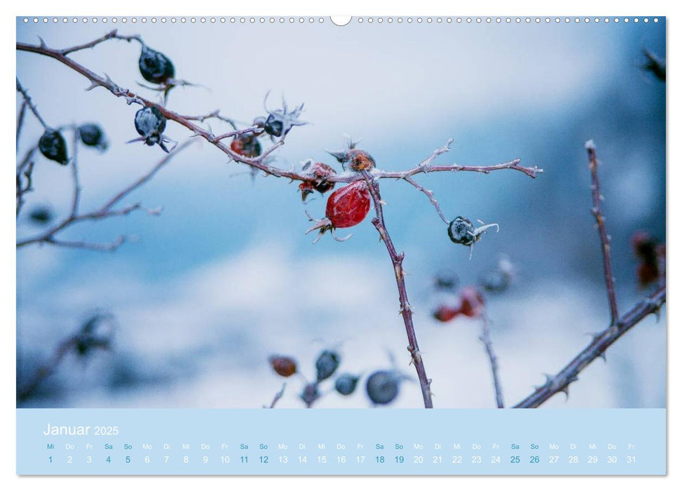 Zeitenwandel - Ein Jahr in der Natur (CALVENDO Premium Wandkalender 2025)