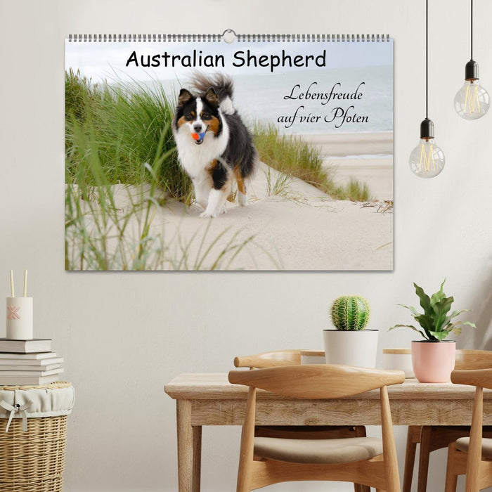 Australian Shepherd - Lebensfreude auf vier Pfoten (CALVENDO Wandkalender 2025)