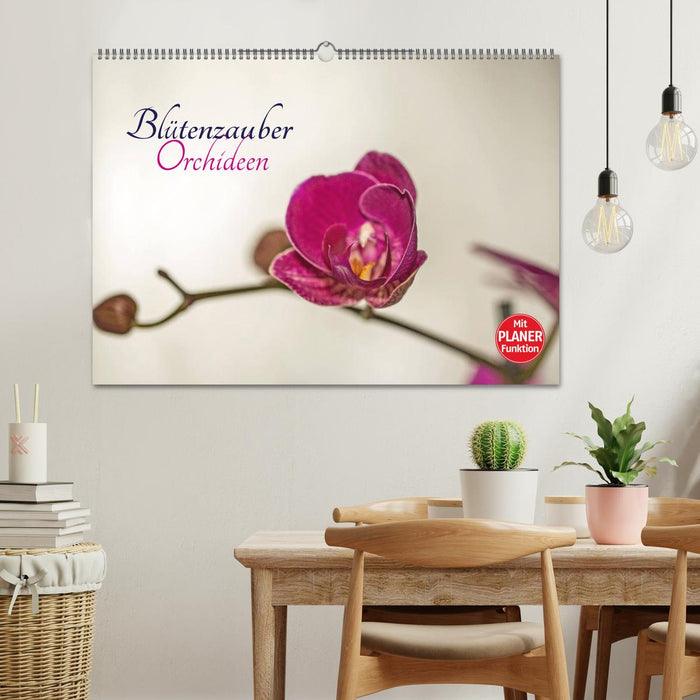 Blütenzauber Orchideen (CALVENDO Wandkalender 2025)