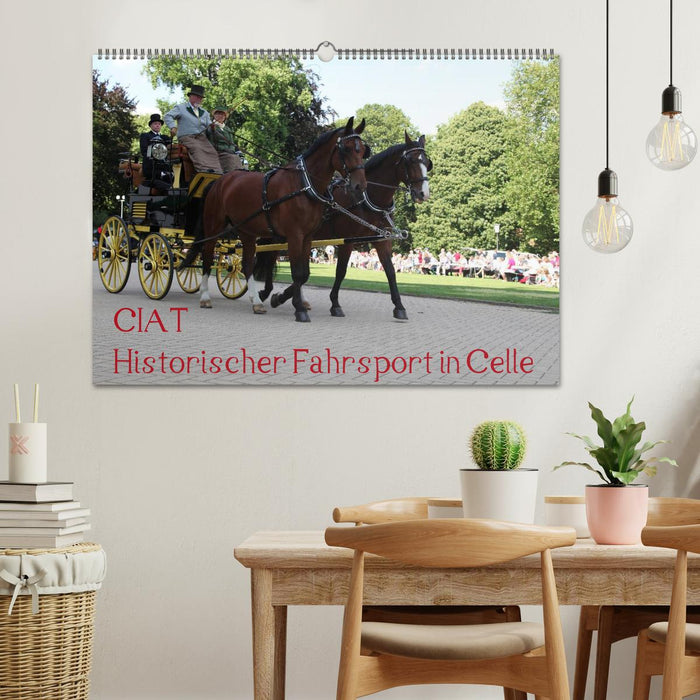 CIAT - Historischer Fahrsport in Celle (CALVENDO Wandkalender 2025)