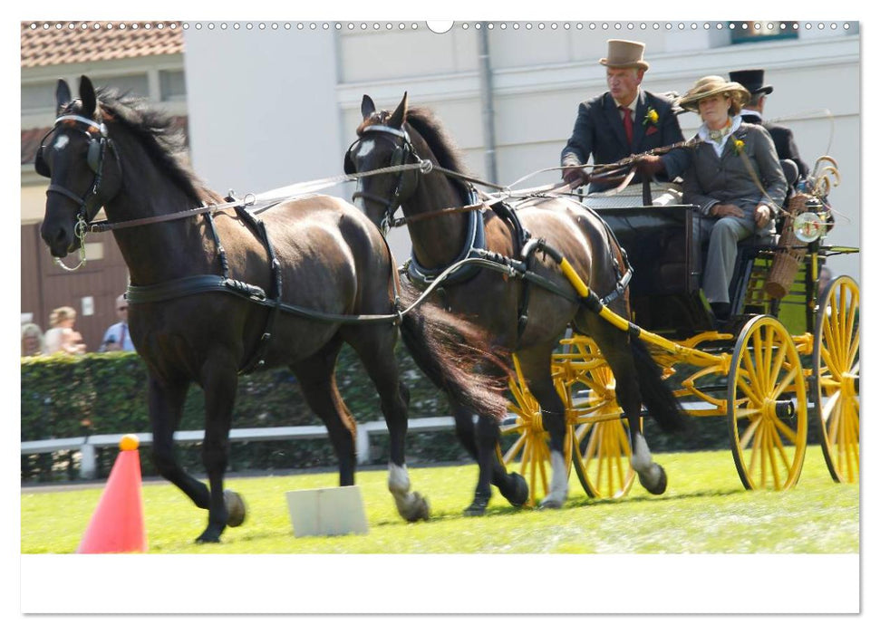 CIAT - Historischer Fahrsport in Celle (CALVENDO Wandkalender 2025)