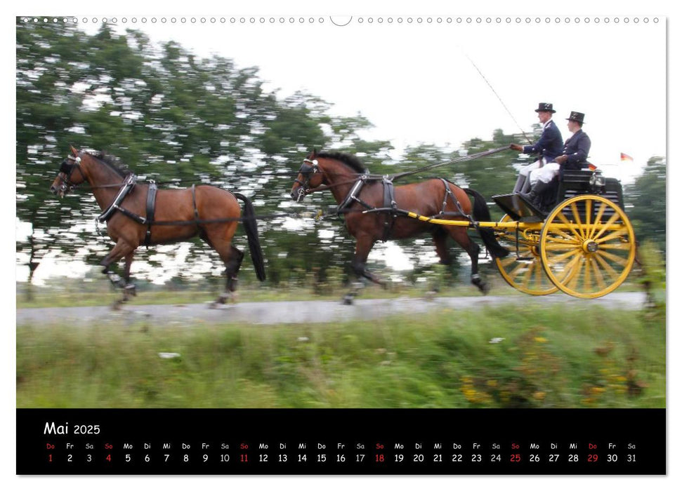 CIAT - Historischer Fahrsport in Celle (CALVENDO Wandkalender 2025)