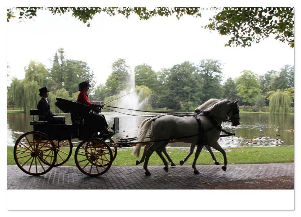 CIAT - Historischer Fahrsport in Celle (CALVENDO Wandkalender 2025)