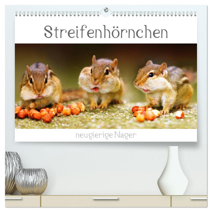 Streifenhörnchen - neugierige Nager (CALVENDO Premium Wandkalender 2025)