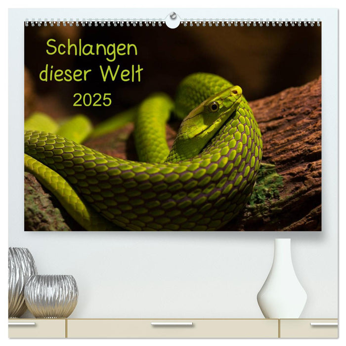 Schlangen dieser Welt (CALVENDO Premium Wandkalender 2025)