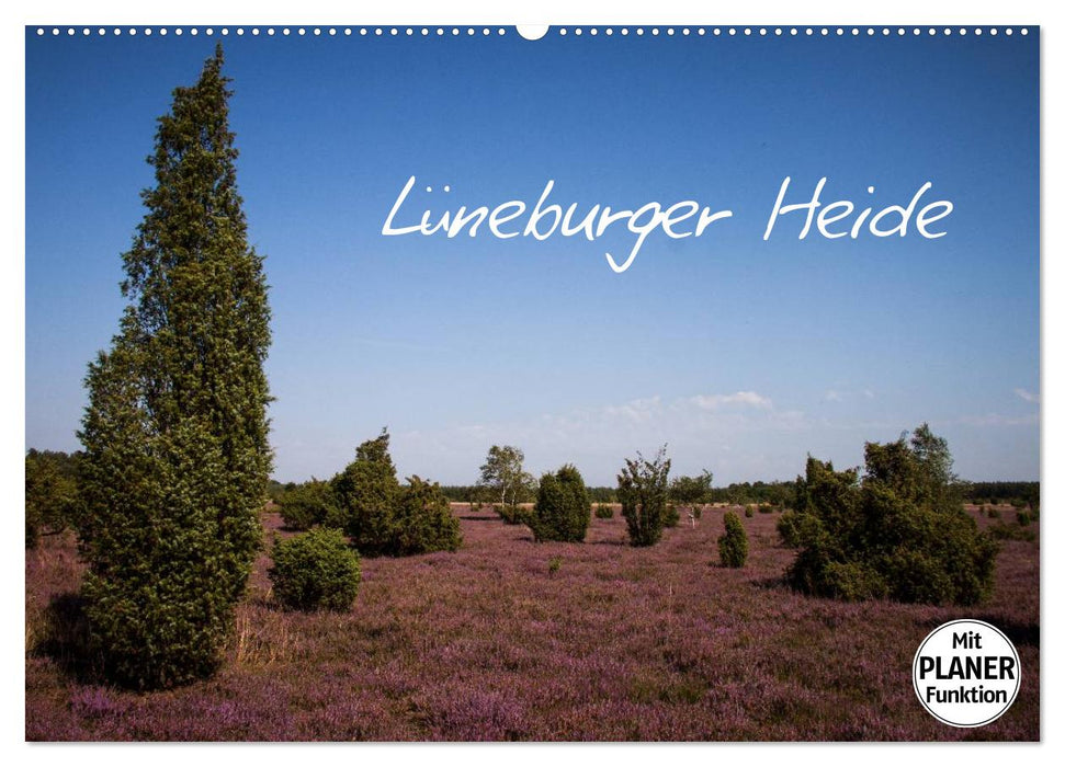 Lüneburger Heide (CALVENDO Wandkalender 2025)