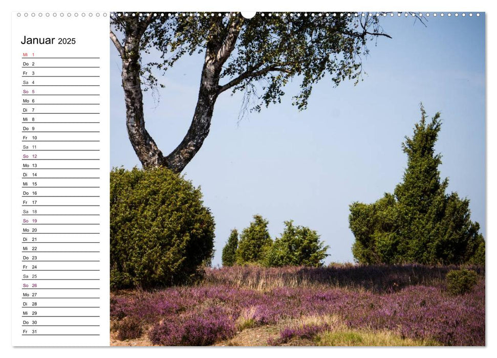 Lüneburger Heide (CALVENDO Wandkalender 2025)