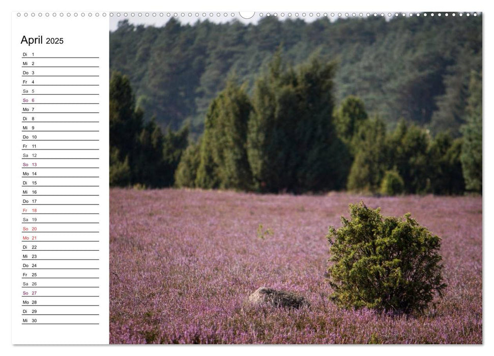 Lüneburger Heide (CALVENDO Wandkalender 2025)