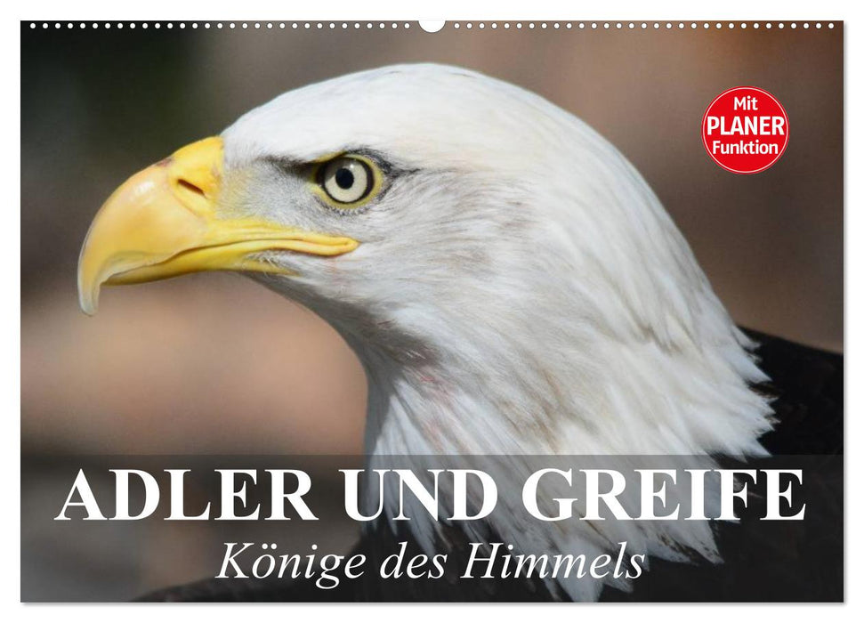 Adler und Greife. Könige des Himmels (CALVENDO Wandkalender 2025)