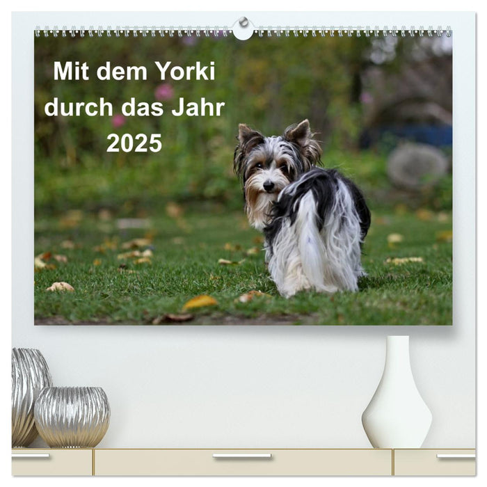 Mit dem Yorki durch das Jahr 2025 (CALVENDO Premium Wandkalender 2025)