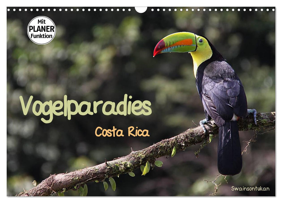 Vogelparadies Costa Rica (CALVENDO Wandkalender 2025)