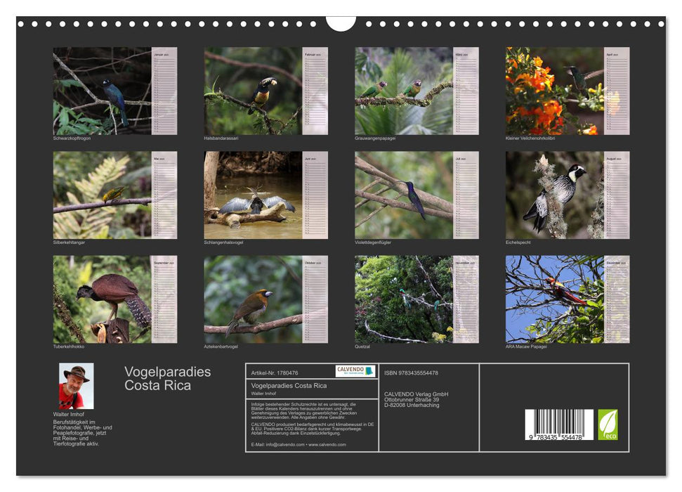 Vogelparadies Costa Rica (CALVENDO Wandkalender 2025)