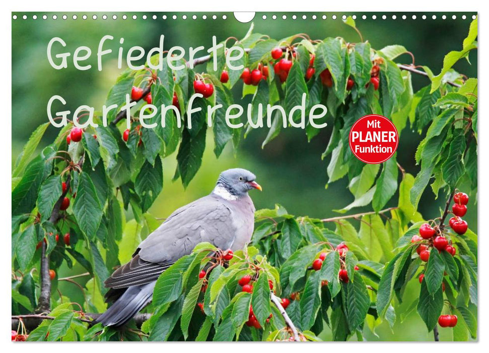 Gefiederte Gartenfreunde (CALVENDO Wandkalender 2025)