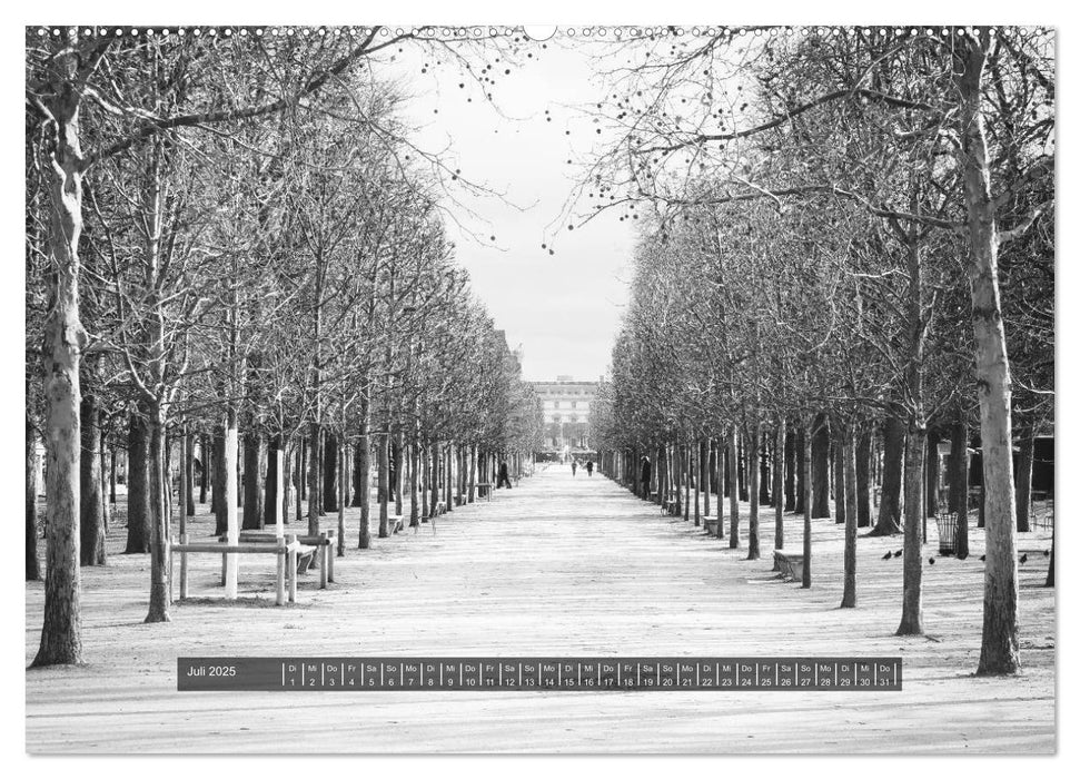 Paris - in schwarz und weiss (CALVENDO Premium Wandkalender 2025)