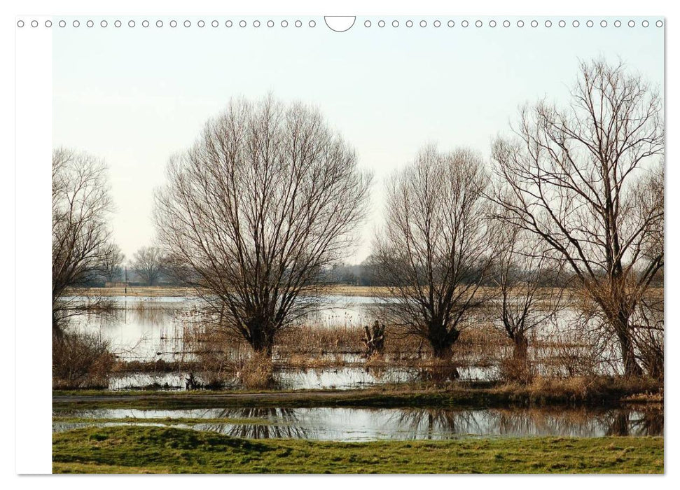 Die Jahreszeiten im Havelland (CALVENDO Wandkalender 2025)