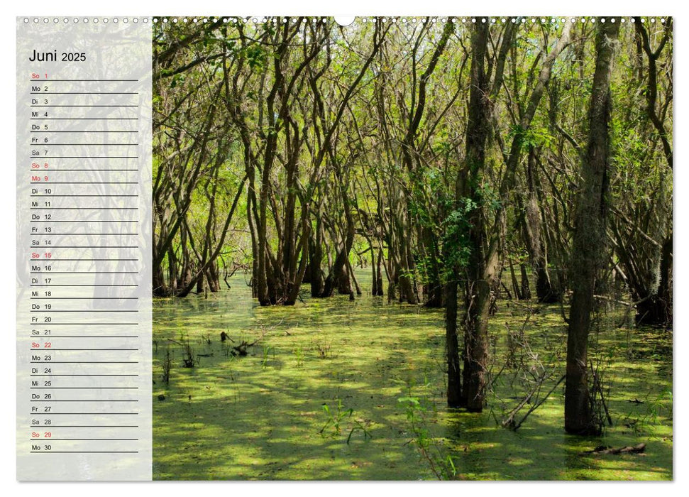 FLORIDA Idyllischer Sonnenscheinstaat (CALVENDO Wandkalender 2025)