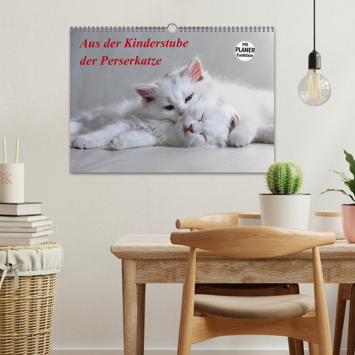 Aus der Kinderstube der Perserkatze (CALVENDO Wandkalender 2025)