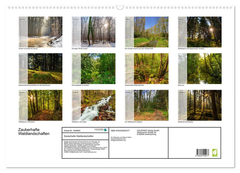 Zauberhafte Waldlandschaften (CALVENDO Wandkalender 2025)