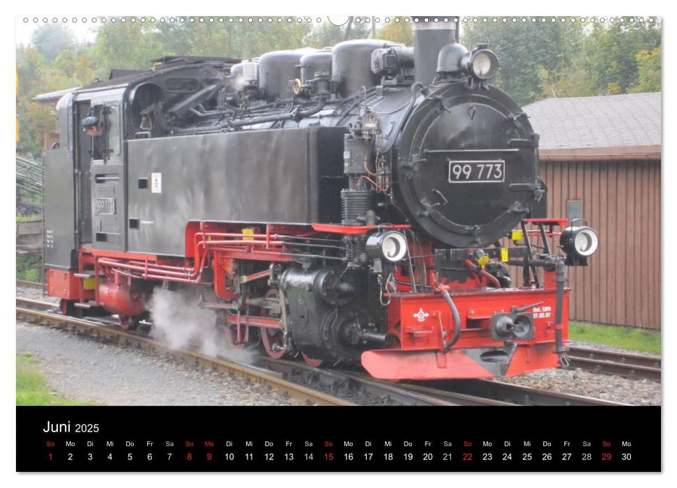 Sächsische Dampfeisenbahnen 2025 (CALVENDO Premium Wandkalender 2025)