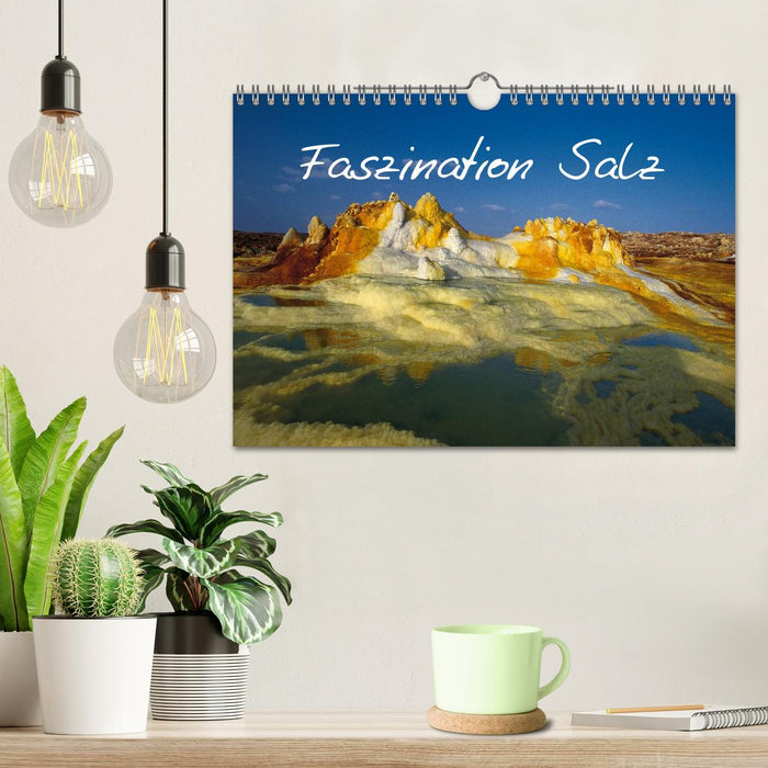 Faszination Salz (CALVENDO Wandkalender 2025)