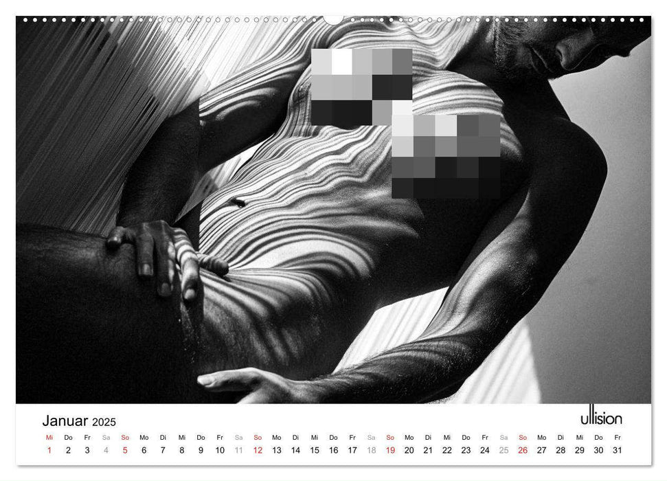 Männer AKT Art (CALVENDO Premium Wandkalender 2025)