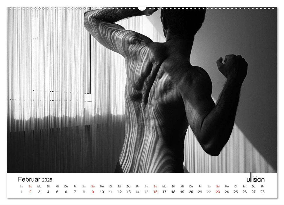 Männer AKT Art (CALVENDO Premium Wandkalender 2025)