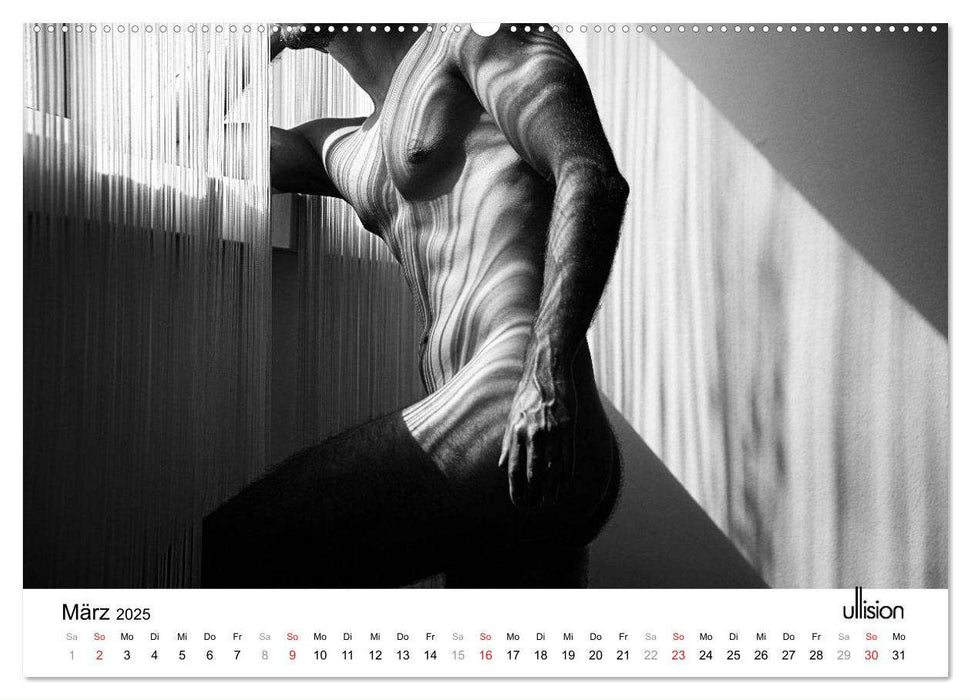 Männer AKT Art (CALVENDO Premium Wandkalender 2025)