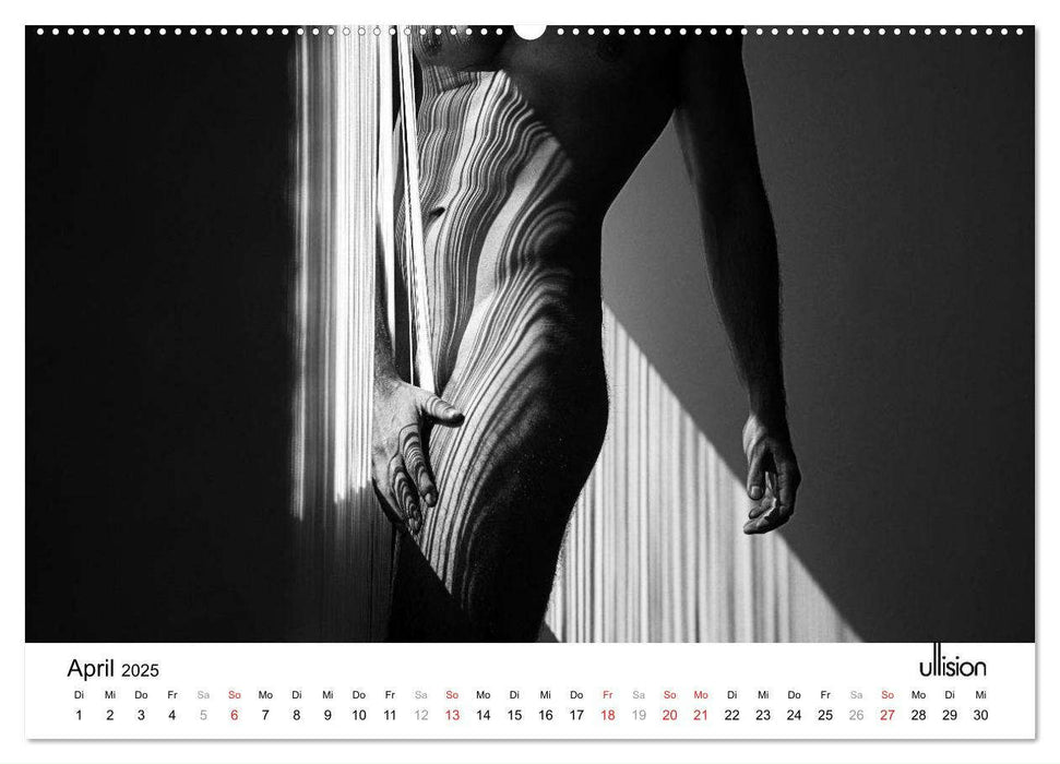 Männer AKT Art (CALVENDO Premium Wandkalender 2025)