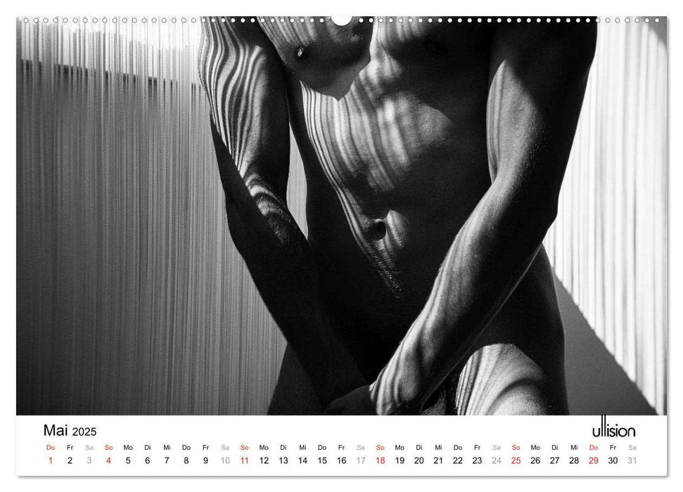 Männer AKT Art (CALVENDO Premium Wandkalender 2025)