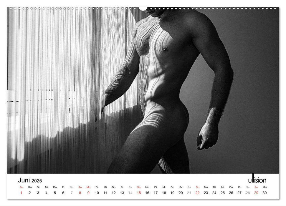 Männer AKT Art (CALVENDO Premium Wandkalender 2025)