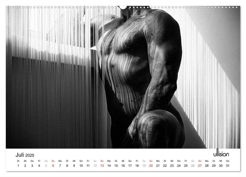 Männer AKT Art (CALVENDO Premium Wandkalender 2025)