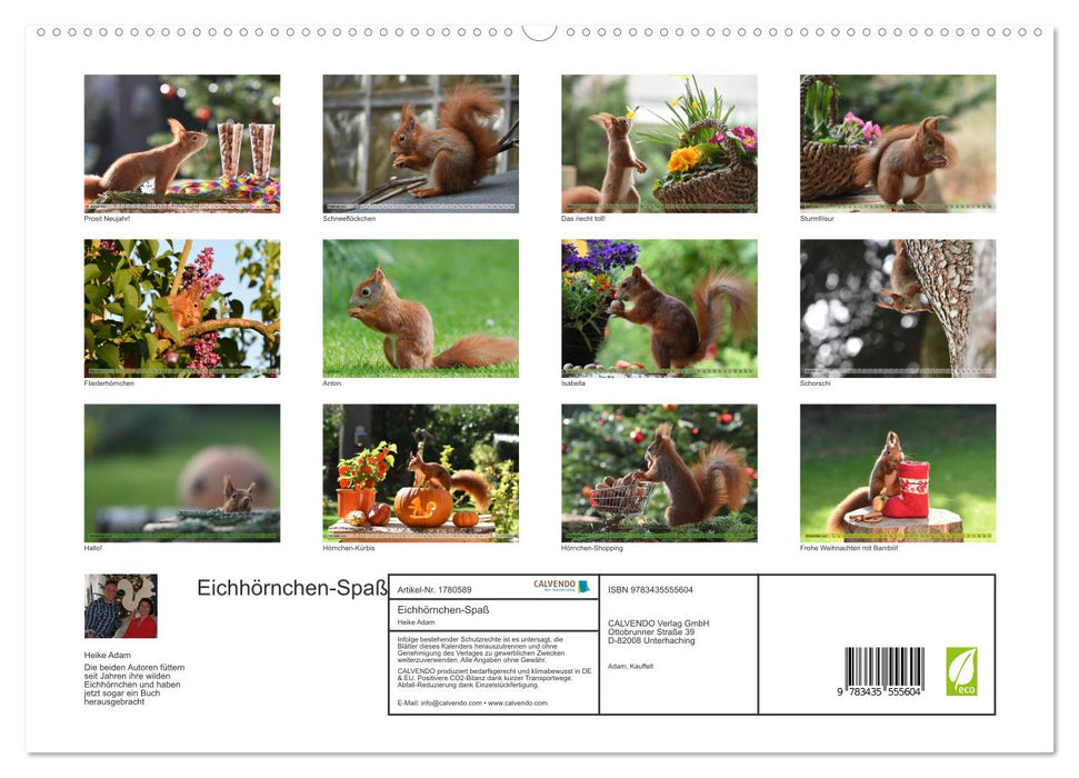 Eichhörnchen-Spaß (CALVENDO Premium Wandkalender 2025)