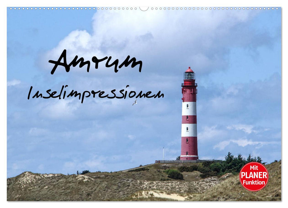 Amrum - Inselimpressionen (CALVENDO Wandkalender 2025)