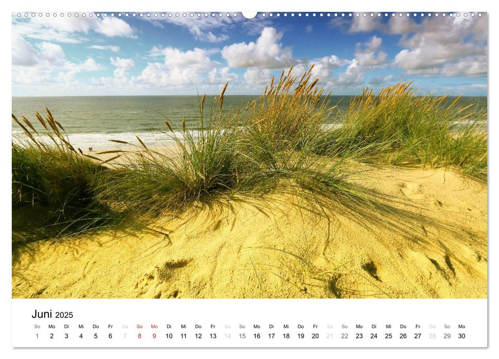 Sylt, der nordfriesische Inseltraum (CALVENDO Premium Wandkalender 2025)