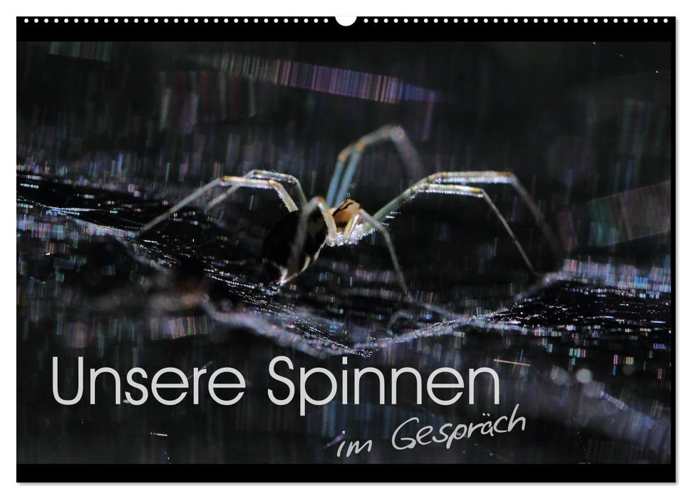 Unsere Spinnen - im Gespräch (CALVENDO Wandkalender 2025)