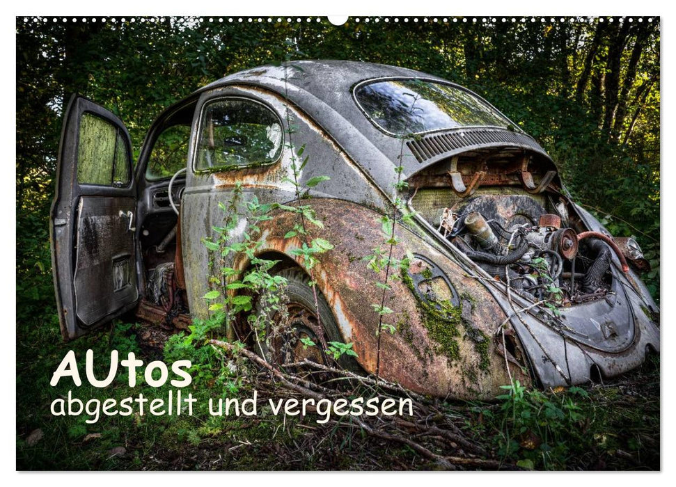 Autos, abgestellt und vergessen (CALVENDO Wandkalender 2025)