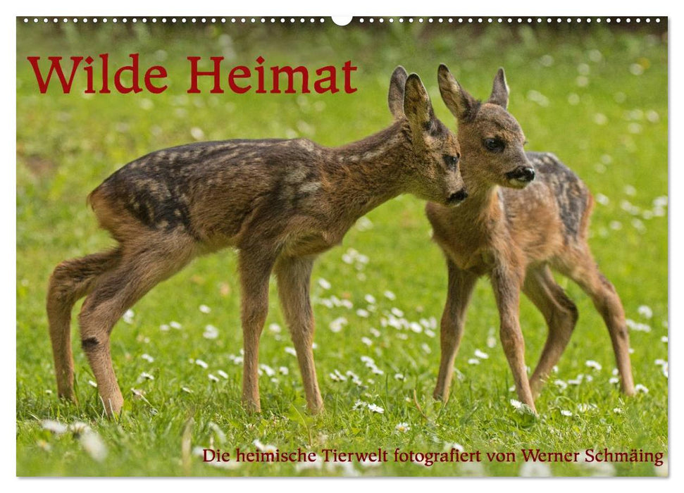 Wilde Heimat (CALVENDO Wandkalender 2025)