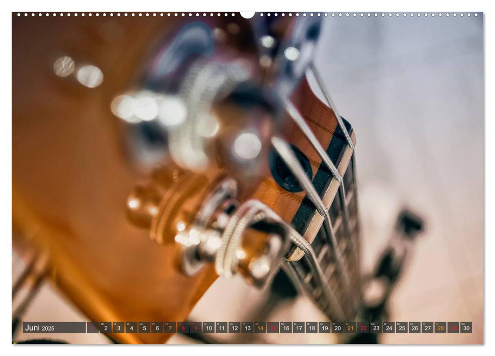 Bassgitarren - einfach cool (CALVENDO Premium Wandkalender 2025)