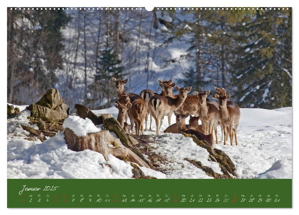 Waidmannsheil und Waidmannsdank (CALVENDO Premium Wandkalender 2025)