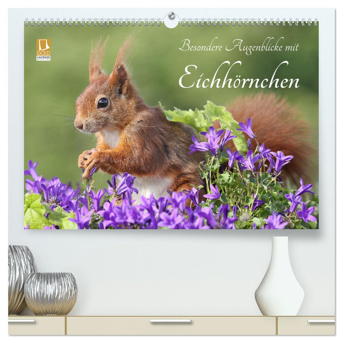 Besondere Augenblicke mit Eichhörnchen (CALVENDO Premium Wandkalender 2025)