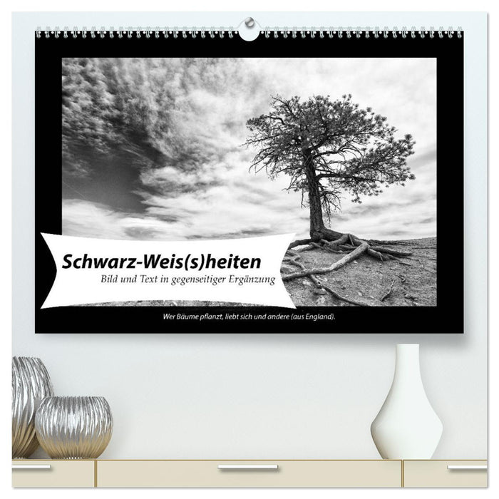 Schwarz-Weis(s)heiten (CALVENDO Premium Wandkalender 2025)