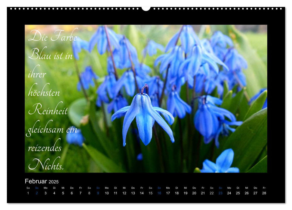 Goethes Blau. Gedanken zur Farbe (CALVENDO Premium Wandkalender 2025)