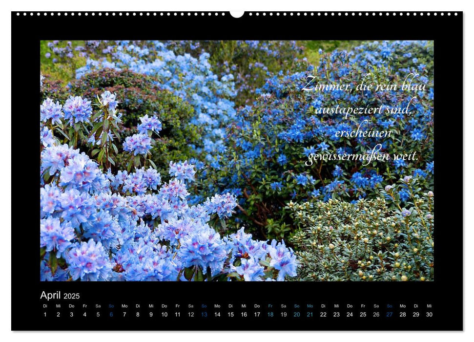 Goethes Blau. Gedanken zur Farbe (CALVENDO Premium Wandkalender 2025)