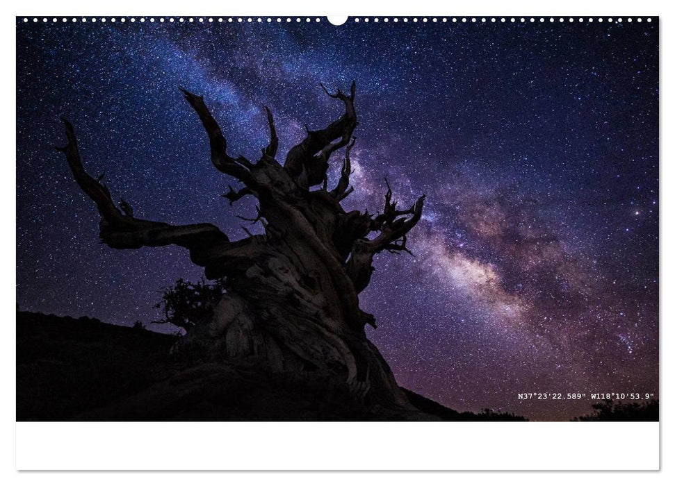 More Wild, Wild Places 2025 (CALVENDO Premium Wandkalender 2025)