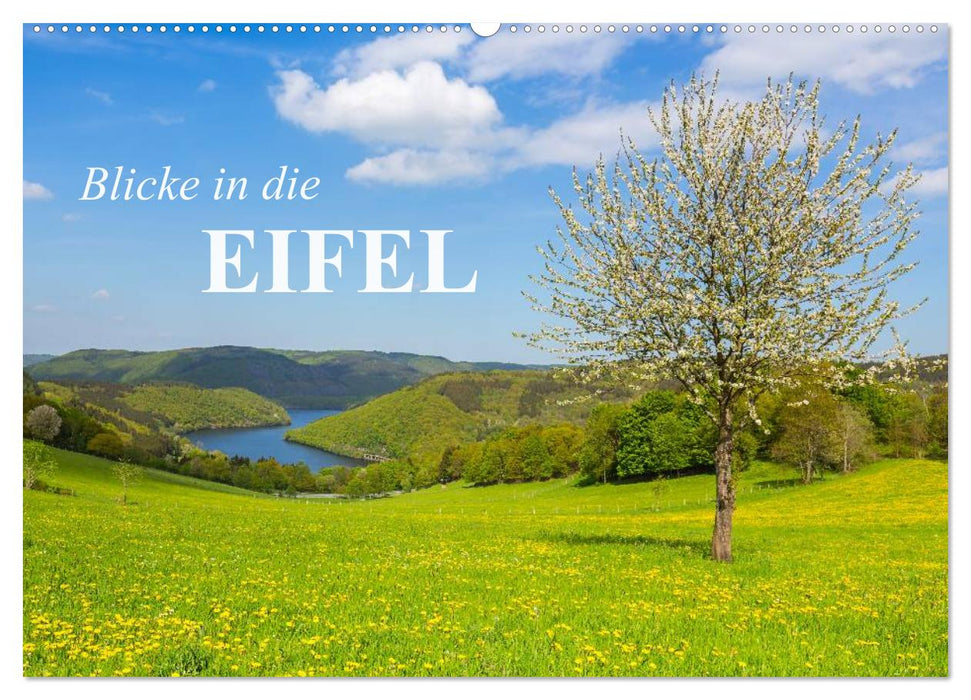 Blicke in die Eifel (CALVENDO Wandkalender 2025)