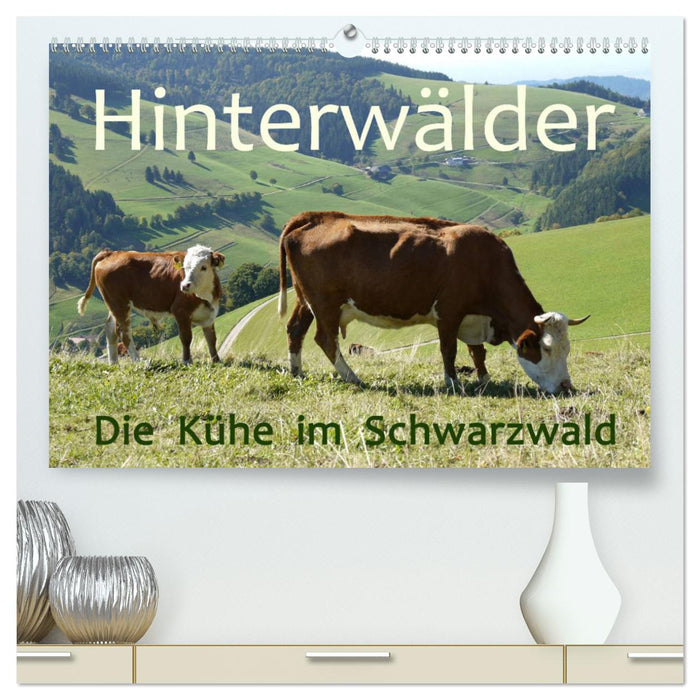 Hinterwälder - Die Kühe aus dem Schwarzwald (CALVENDO Premium Wandkalender 2025)